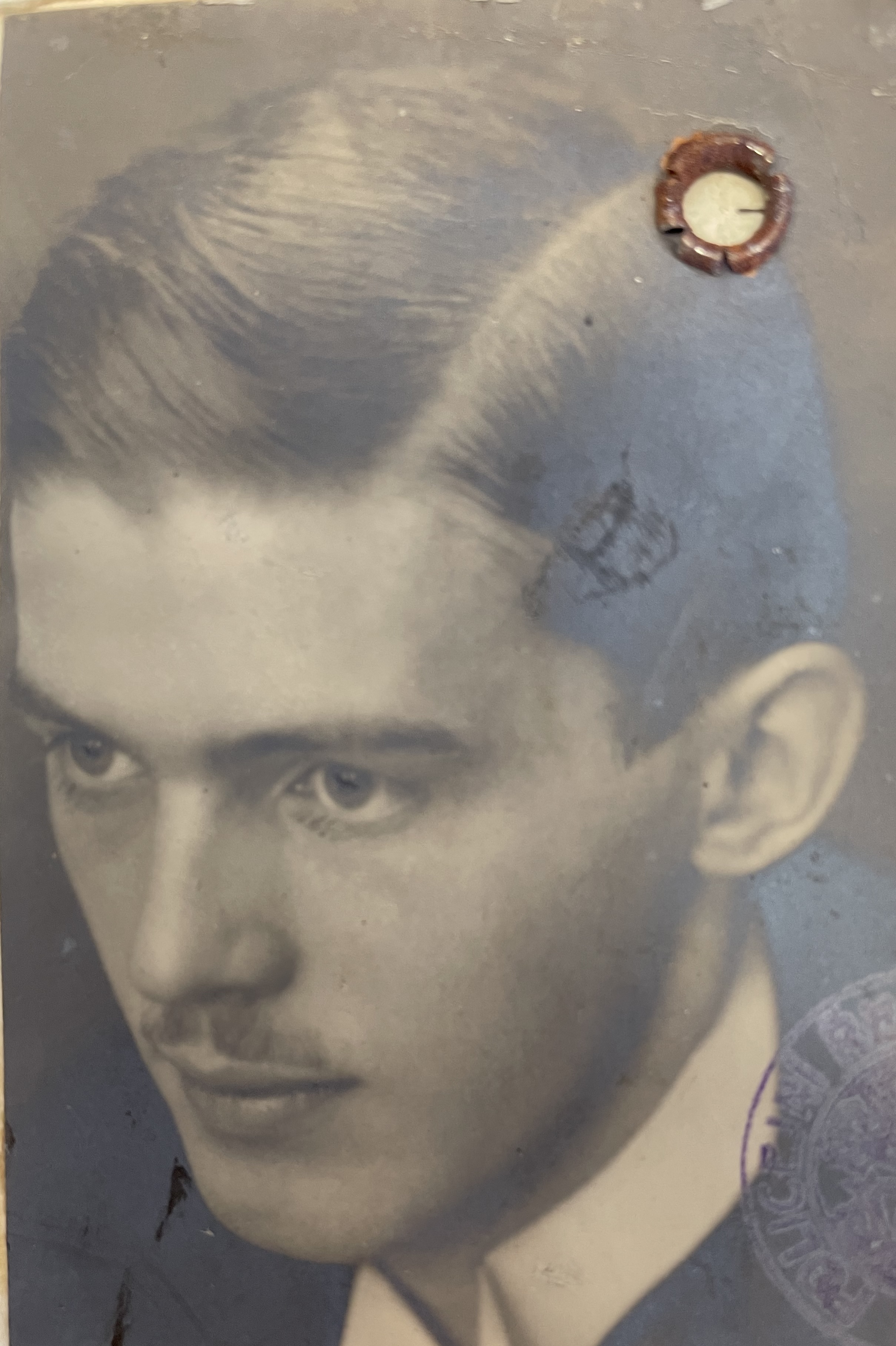 Hauffen, Wolfgang - foto 2