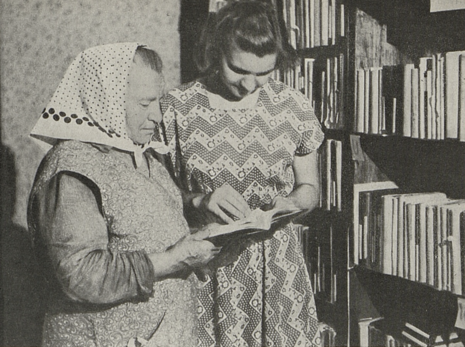 Ježková, Anna - foto