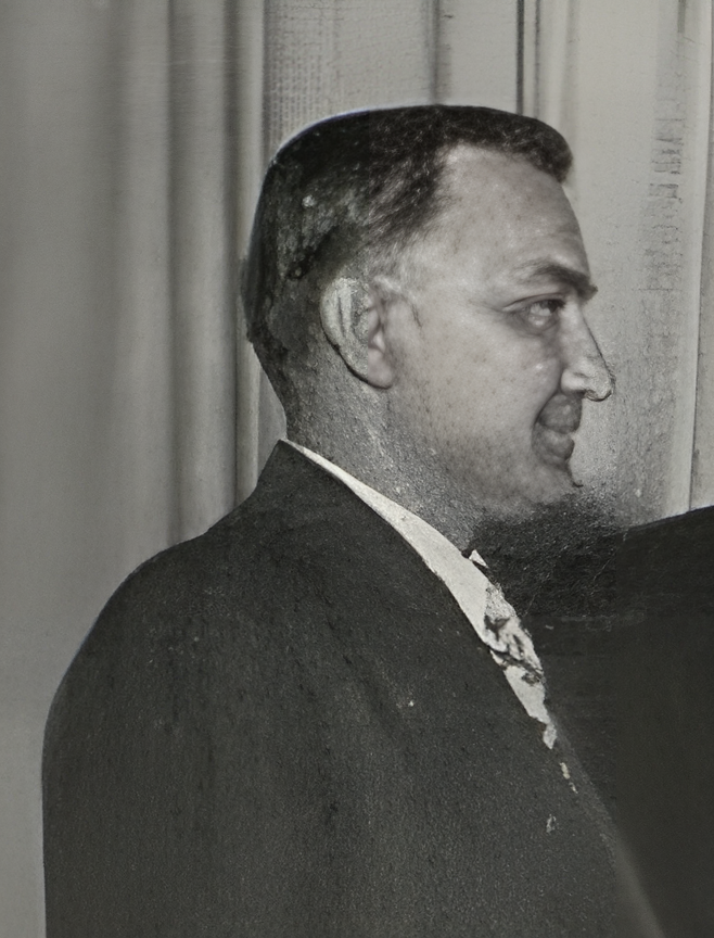 Pěčonka, Jan - foto 2